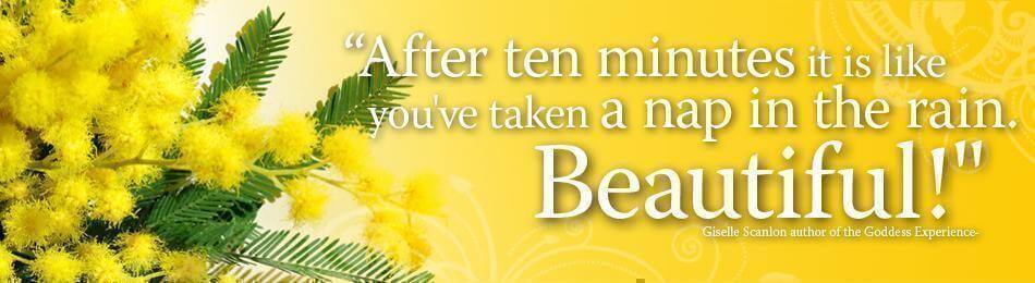 fssc-banner-yellow.jpg